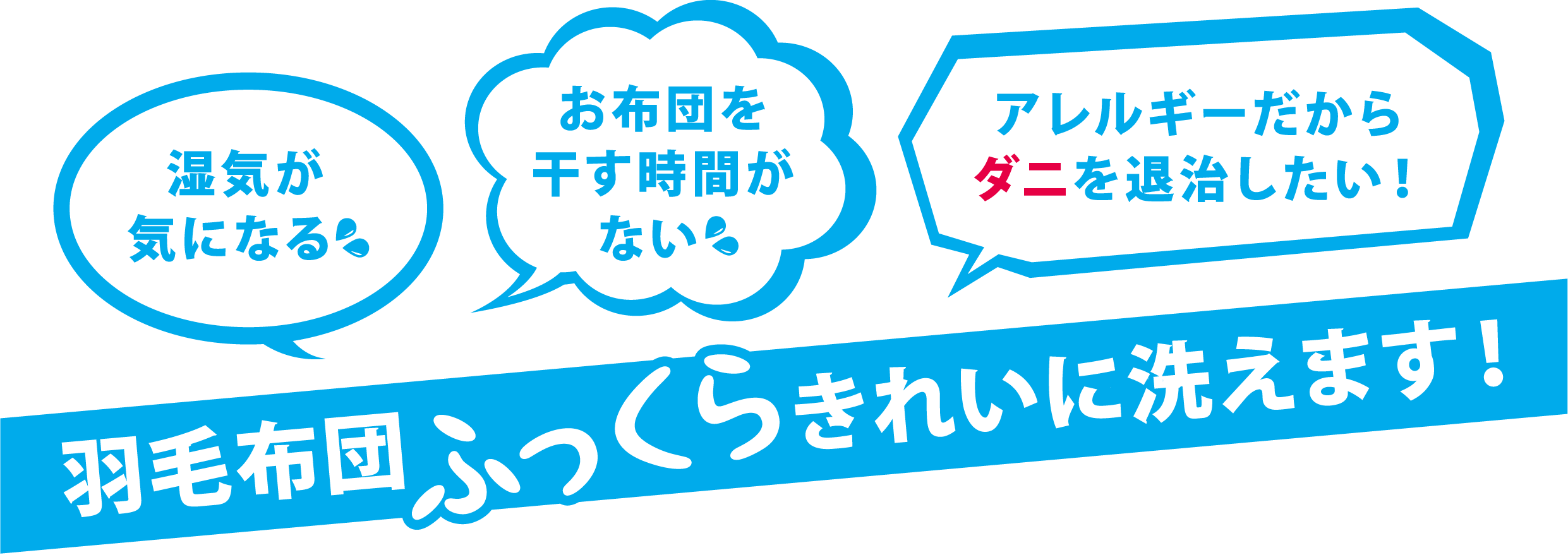 羽毛布団も丸洗い